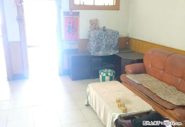 (单间出租)纱厂北路公交公司家属院两室房子,可自己住也可一家人住。 - 房屋出租 - 房屋租售 - 洛阳分类信息 - 洛阳28生活网 luoyang.28life.com