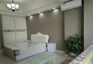 宝龙F精装一室家具家电齐全看房方便 - 洛阳28生活网 luoyang.28life.com