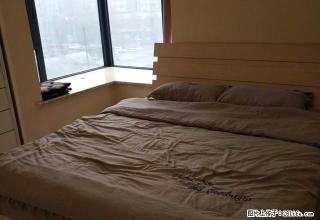 世纪华阳 精装修 家具家电齐全 拎包入住 价格超低 可小刀 - 洛阳28生活网 luoyang.28life.com