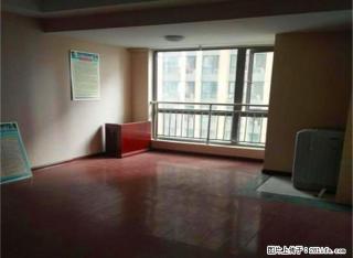 奥体花城对面盛唐 精装两室 办公 看房随时 钥匙房 - 洛阳28生活网 luoyang.28life.com