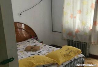 南昌路 丹尼斯 鸿运小区 两室双气 精装4楼 拎包入住 - 洛阳28生活网 luoyang.28life.com
