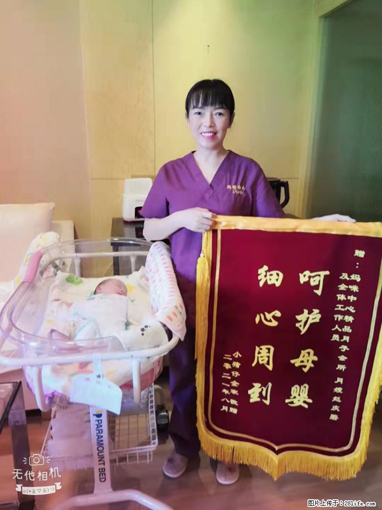上海高端月子会所招新手月嫂,零基础带教,包吃住 - 职场交流 - 洛阳生活社区 - 洛阳28生活网 luoyang.28life.com