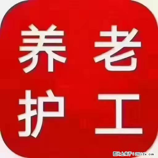 上海国企养老院,星级酒店环境,招聘养老护工 - 职场交流 - 洛阳生活社区 - 洛阳28生活网 luoyang.28life.com