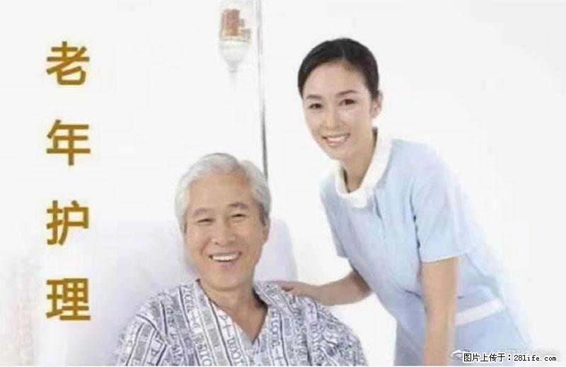 上海国企养老院,星级酒店环境,招聘养老护工 - 职场交流 - 洛阳生活社区 - 洛阳28生活网 luoyang.28life.com