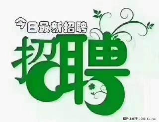 【招聘摄像师】待遇：试用期6000元/月，转正7000元/月+五险一金+餐补+节日福利+奖金 - 洛阳28生活网 luoyang.28life.com