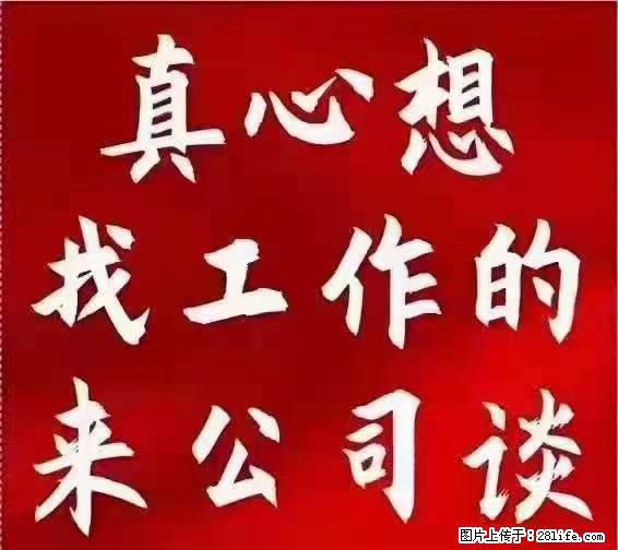 【上海】国企,医院招两名男保安,55岁以下,身高1.7米以上,无犯罪记录不良嗜好 - 职场交流 - 洛阳生活社区 - 洛阳28生活网 luoyang.28life.com