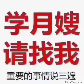 【招聘】月嫂,上海徐汇区 - 洛阳28生活网 luoyang.28life.com