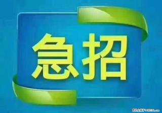 招财务，有会计证的，熟手会计1.1万底薪，上海五险一金，包住，包工作餐，做六休一 - 洛阳28生活网 luoyang.28life.com