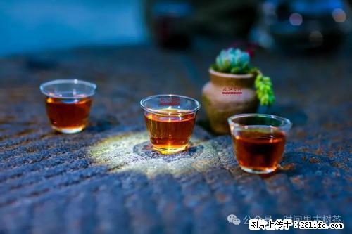 时间果百年古树2025年春红茶 - 购物交流 - 洛阳生活社区 - 洛阳28生活网 luoyang.28life.com