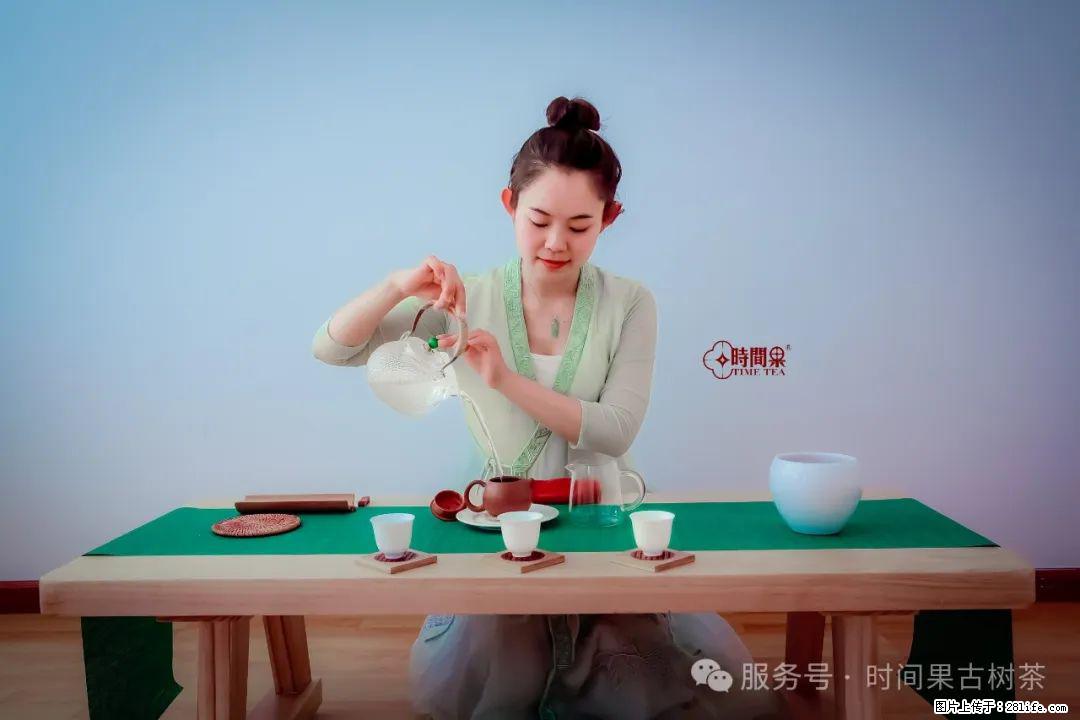 时间果百年古树龙珠普洱生茶 - 购物交流 - 洛阳生活社区 - 洛阳28生活网 luoyang.28life.com