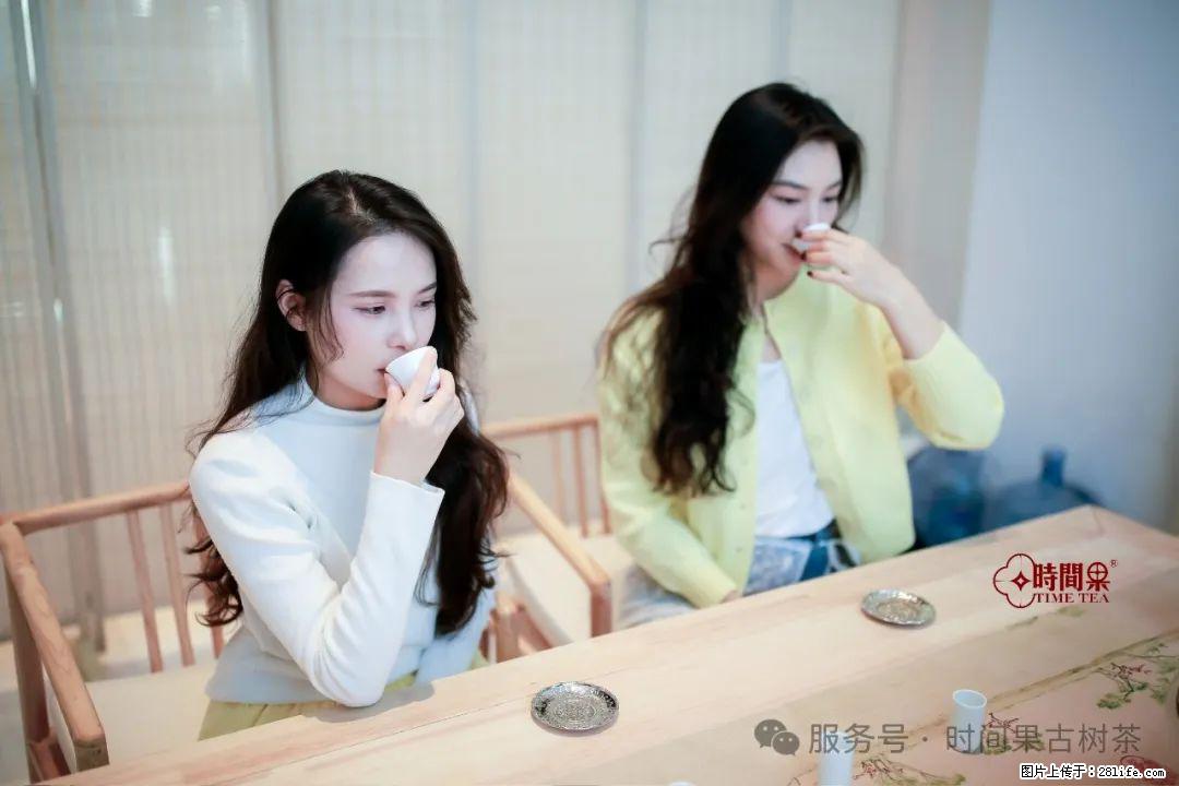 时间果百年古树龙珠普洱生茶 - 购物交流 - 洛阳生活社区 - 洛阳28生活网 luoyang.28life.com