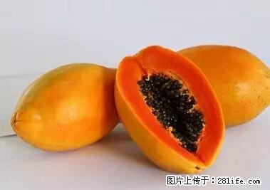 晕车、脚气、牙齿变黄、皮肤粗糙?学会这些三分钟搞定! - 洛阳生活资讯 - 洛阳28生活网 luoyang.28life.com