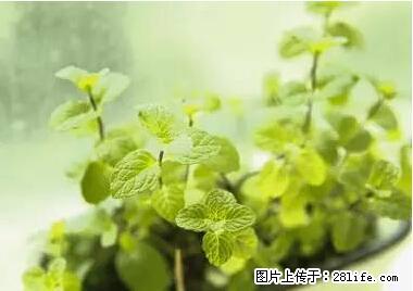 晕车、脚气、牙齿变黄、皮肤粗糙?学会这些三分钟搞定! - 洛阳生活资讯 - 洛阳28生活网 luoyang.28life.com