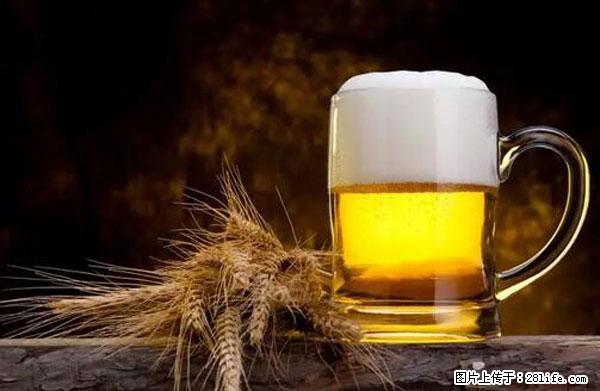 原来它这么毒，然而竟然满大街都是.... - 洛阳生活资讯 - 洛阳28生活网 luoyang.28life.com