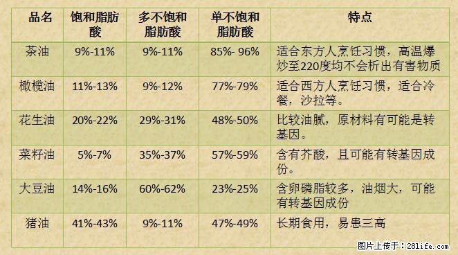 揭秘茶油的5大核心营养成分!被称为人体健康的“守护盾”! - 洛阳生活资讯 - 洛阳28生活网 luoyang.28life.com