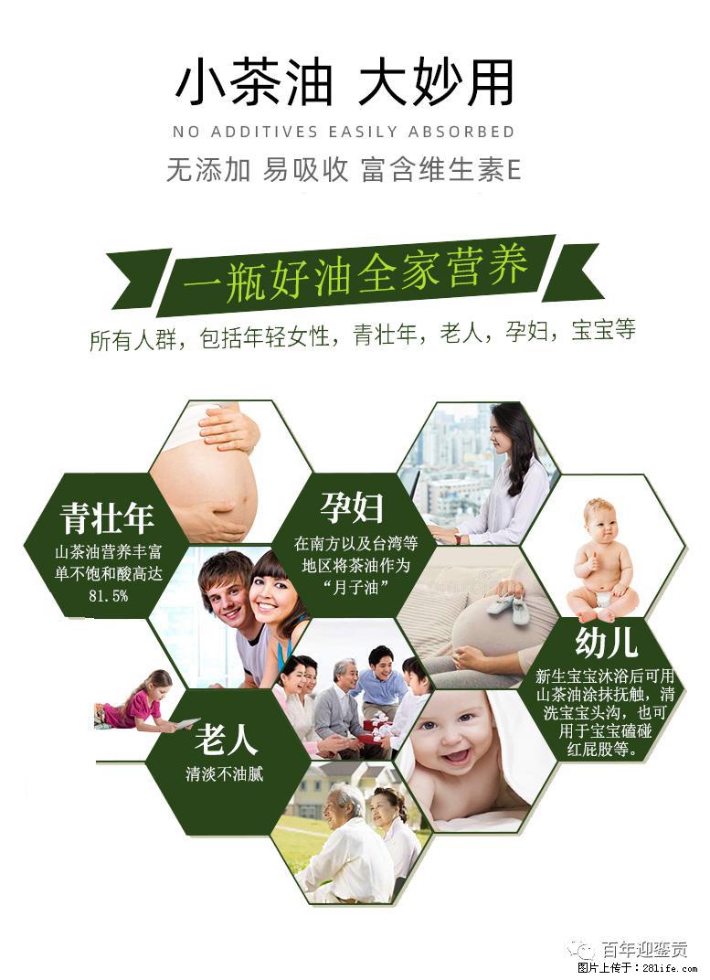 世界没有真相,只有认知,最好的食用油是中国的山茶油! - 洛阳生活资讯 - 洛阳28生活网 luoyang.28life.com