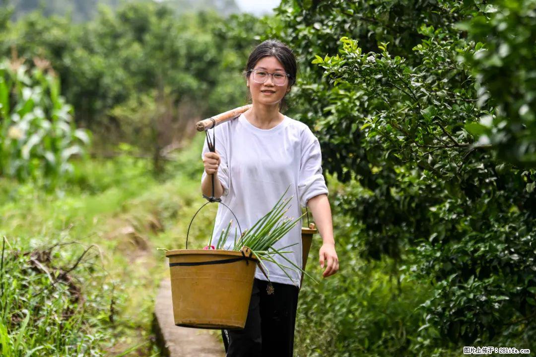 全网追的“扁担女孩”，找了一份暑假工，时薪12元 - 洛阳生活资讯 - 洛阳28生活网 luoyang.28life.com