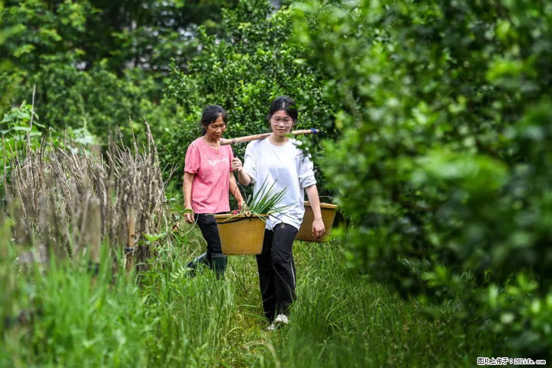 全网追的“扁担女孩”，找了一份暑假工，时薪12元 - 洛阳生活资讯 - 洛阳28生活网 luoyang.28life.com