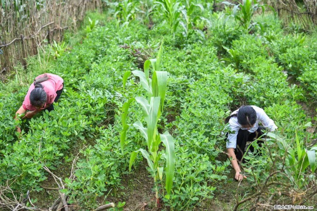 全网追的“扁担女孩”，找了一份暑假工，时薪12元 - 洛阳生活资讯 - 洛阳28生活网 luoyang.28life.com