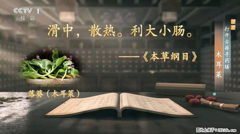 比牛奶补钙还厉害！凉血解毒、稳血糖...这菜冬天必吃，很多人却当草 - 洛阳生活资讯 - 洛阳28生活网 luoyang.28life.com