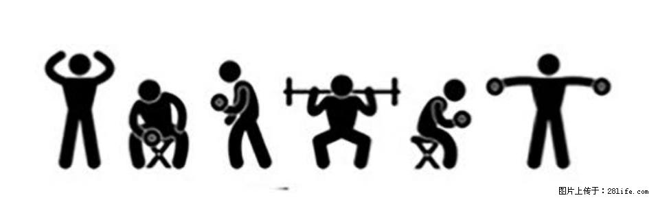 坚持这种运动6个月，心脏有了显著变化！不是跑步，也不是走路 - 洛阳生活资讯 - 洛阳28生活网 luoyang.28life.com