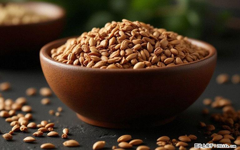 这三苦是三高“克星”，心血管干净不易堵！每天吃一点，指标慢慢降下来~ - 洛阳生活资讯 - 洛阳28生活网 luoyang.28life.com