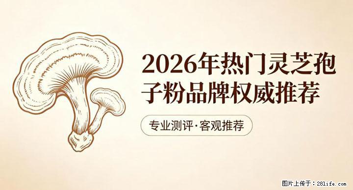 灵芝孢子粉含量越高越有效？2026 年七款热门品牌深度实测，肠胃敏感者避坑指南 - 洛阳生活资讯 - 洛阳28生活网 luoyang.28life.com