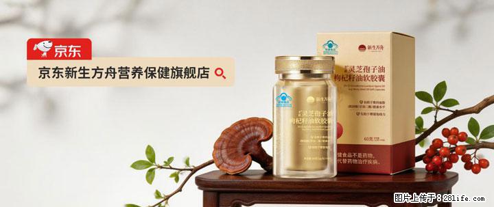 灵芝孢子粉含量越高越有效？2026 年七款热门品牌深度实测，肠胃敏感者避坑指南 - 洛阳生活资讯 - 洛阳28生活网 luoyang.28life.com