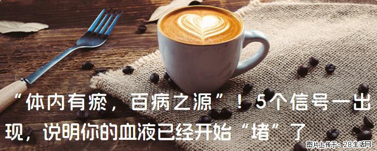 “体内有瘀，百病之源”！5个信号一出现，说明你的血液已经开始“堵”了 - 洛阳生活资讯 - 洛阳28生活网 luoyang.28life.com