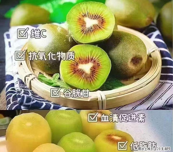 广西桂林平乐桥亭【红心猕猴桃】、【大秋甜柿】上市啦，欢迎各位新老客户下单（另有少量小果出售） - 洛阳生活资讯 - 洛阳28生活网 luoyang.28life.com