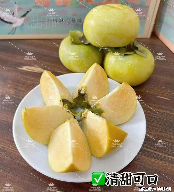 广西桂林平乐桥亭【红心猕猴桃】、【大秋甜柿】上市啦，欢迎各位新老客户下单（另有少量小果出售） - 洛阳生活资讯 - 洛阳28生活网 luoyang.28life.com